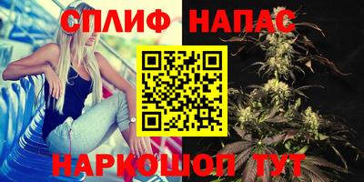 прущий лед Гай