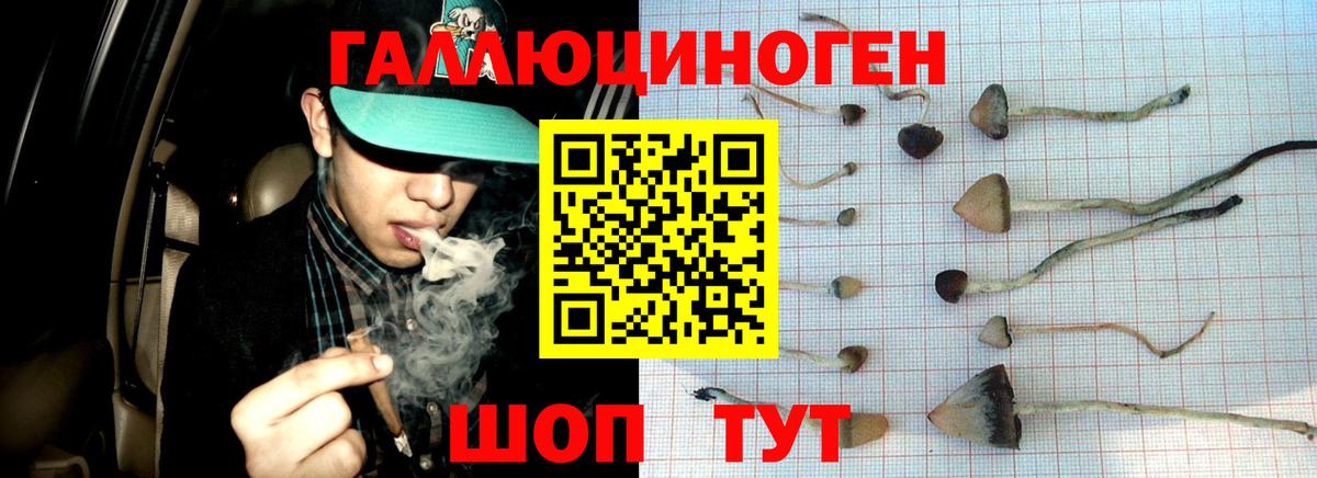 Белово  Псилоцибиновые грибы Magic Shrooms  Псилоцибиновые грибы MAGIC MUSHROOMS  Вход с VPN 